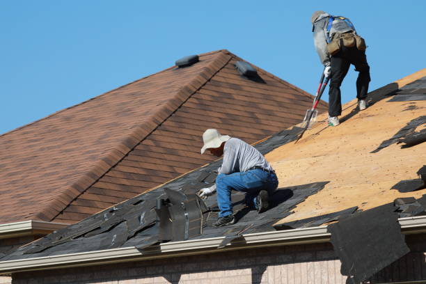 Best Roof Insulation Installation  in Vancleave, MS