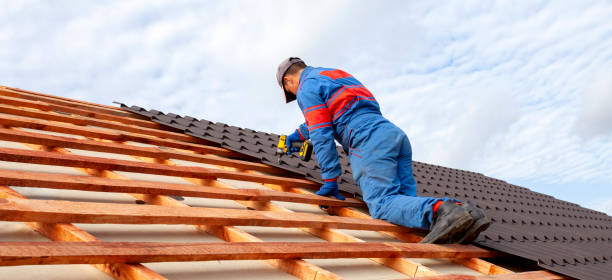 Best Roof Ventilation Installation  in Vancleave, MS